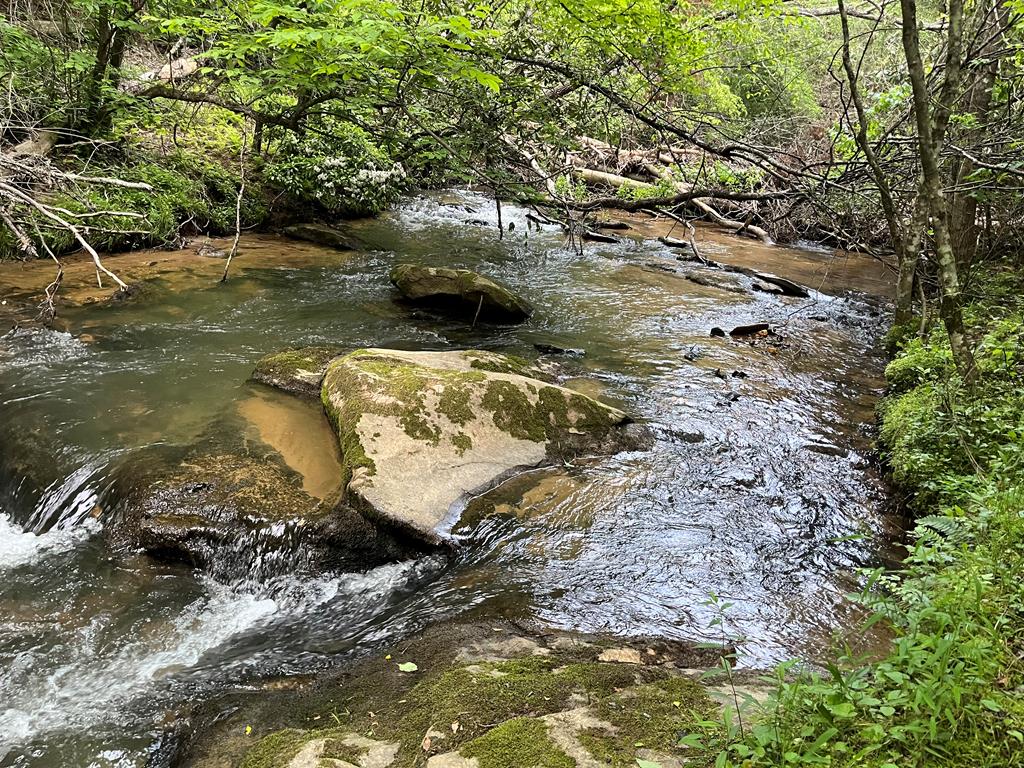 35 Indian Trace