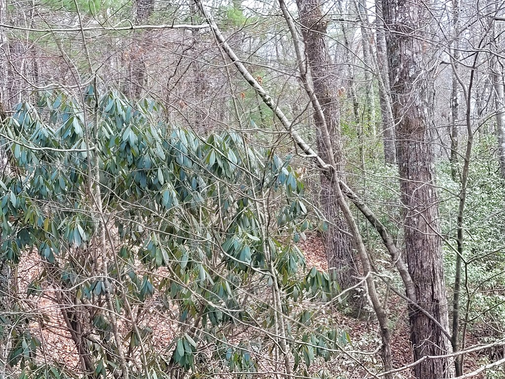 Lot 49 Slate Stone Lane