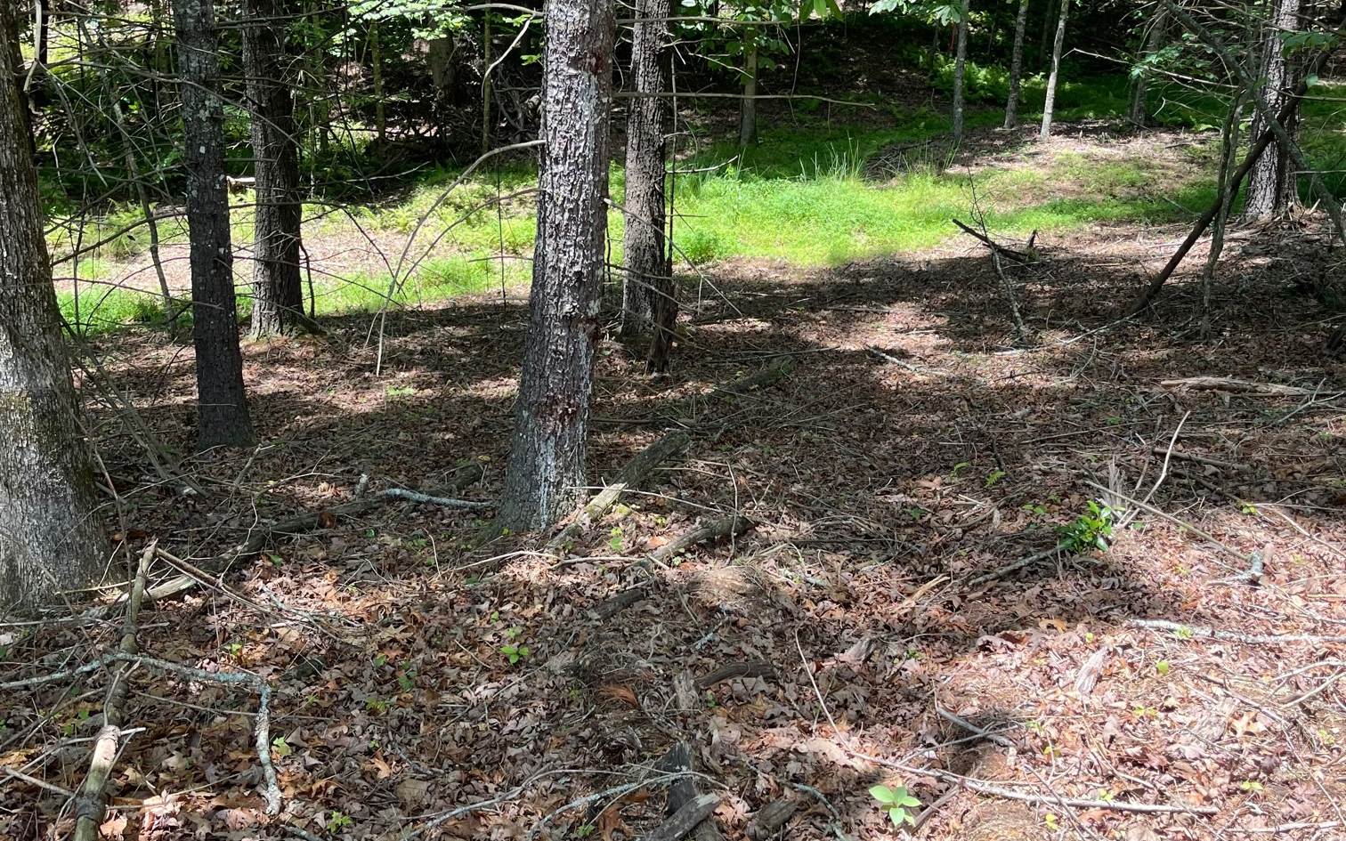 LOT 95 The Ridges