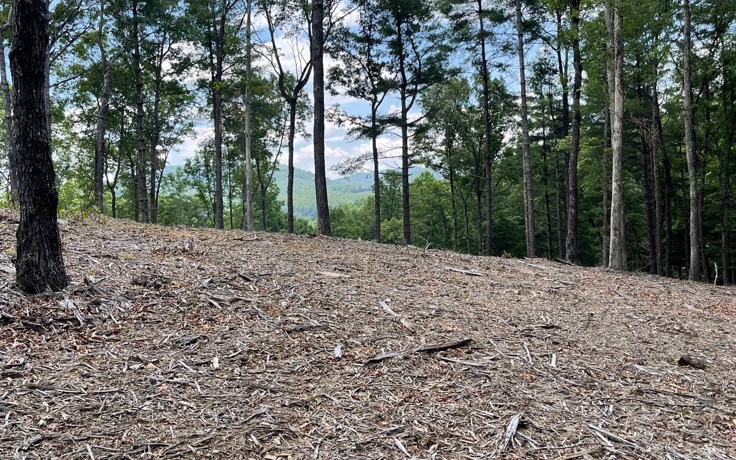LOT 95 The Ridges