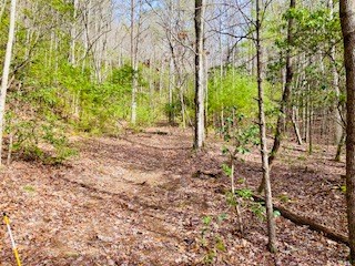 12.8 ac Fisher Field Road