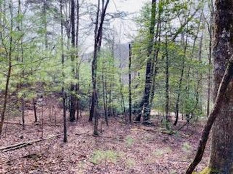 12.8 ac Fisher Field Road Blairsville GA 30512