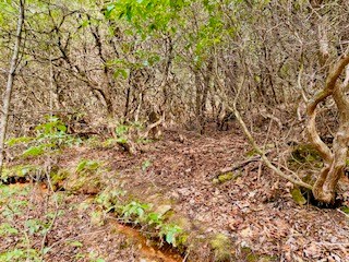 12.8 ac Fisher Field Road