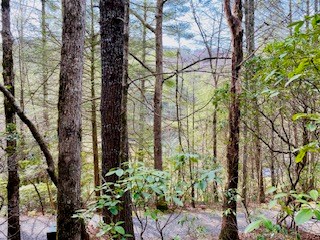 12.8 ac Fisher Field Road