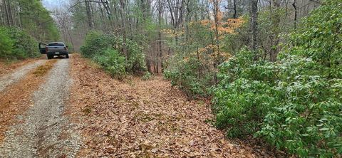 Lot 18 Gray Fox Trail Blairsville GA 30512