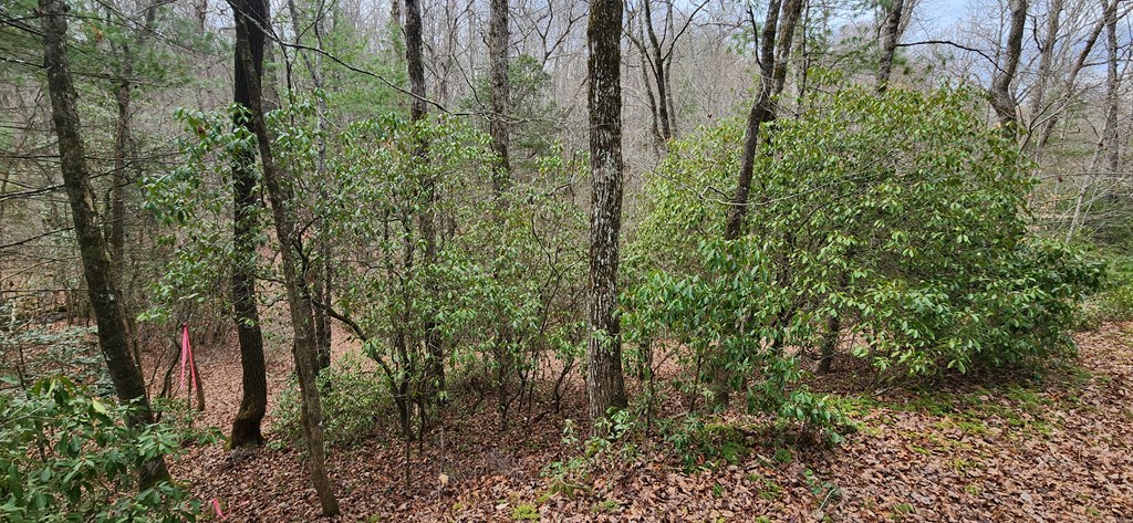 Lot 18 Gray Fox Trail