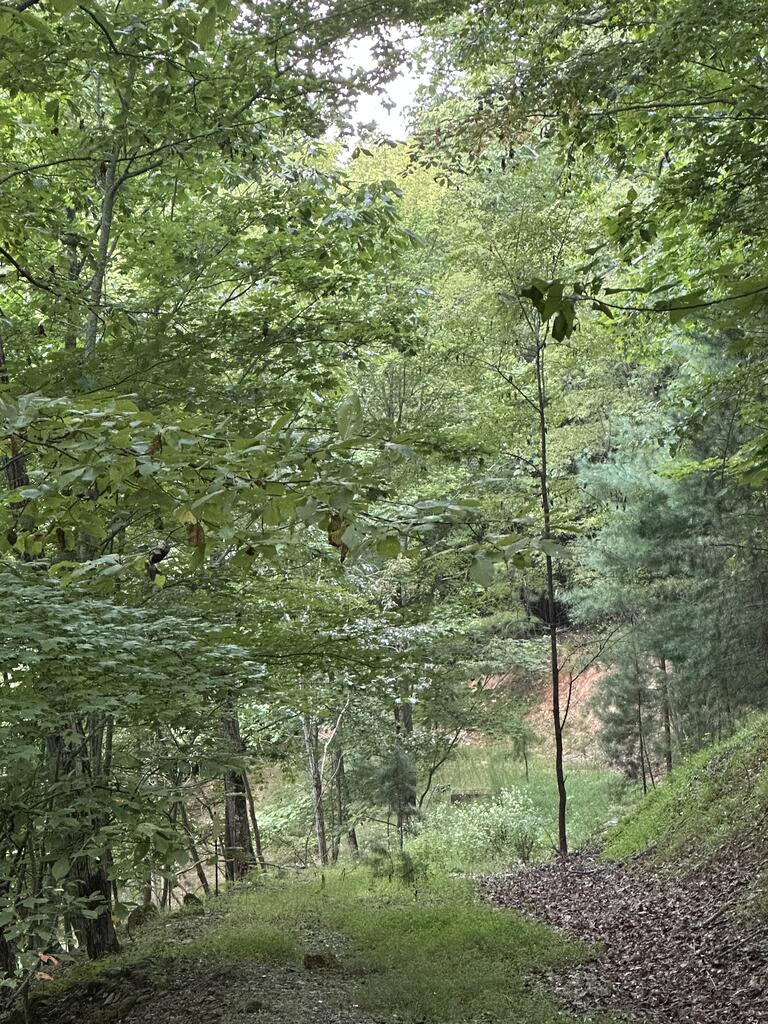 335 Deer Run Lane