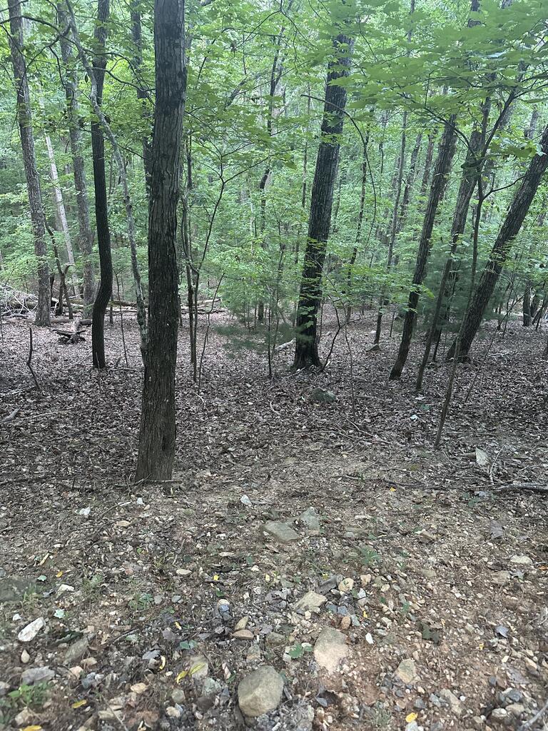 335 Deer Run Lane