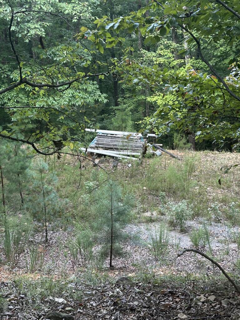 335 Deer Run Lane
