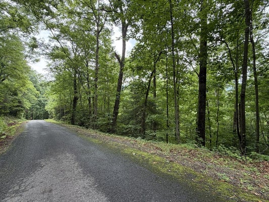 TWIGGS RD, HIAWASSEE, GA 30546 - Image abe44c9019374342ea89c4f4e70ebda7/991345375