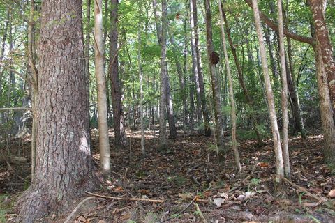 LOT 546 North Satsuma Court Ellijay GA 30540