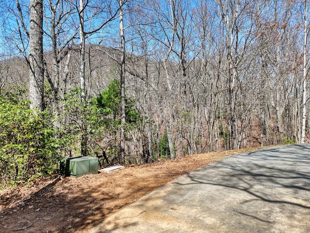 LT 41 Nantahala Lane