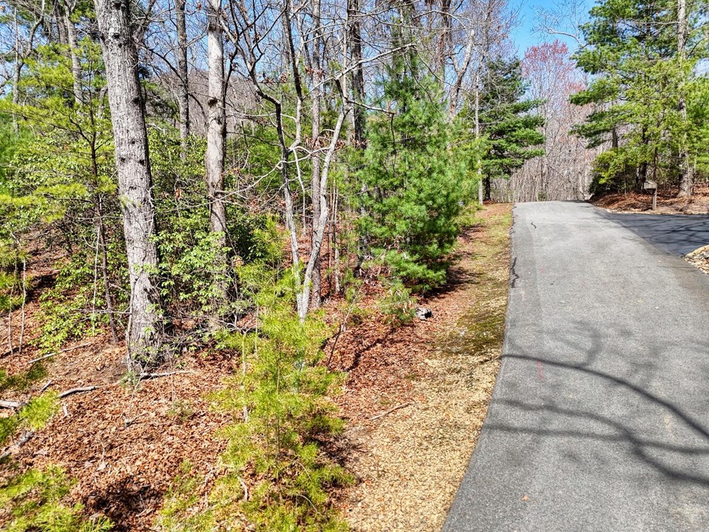 LT 41 Nantahala Lane