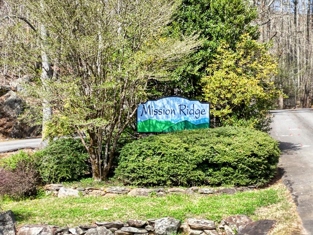 LT 41 Nantahala Lane