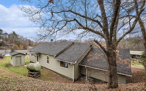 A home in Blue Ridge