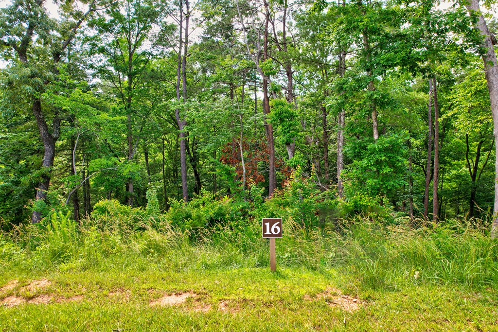 Lot 16 Lake Top Lane