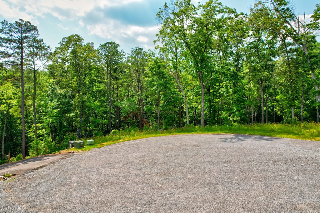 Lot 16 Lake Top Lane