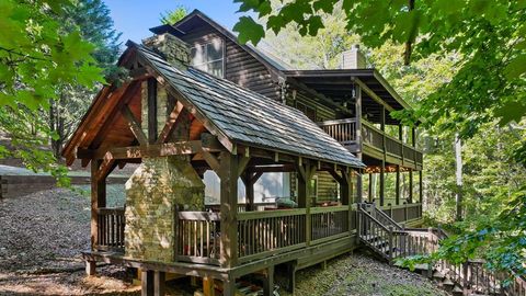 360 Black Dog Trail Morganton GA 30560