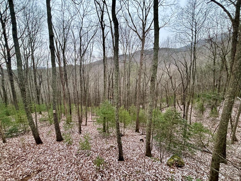 163 Little Rock Creek Trail