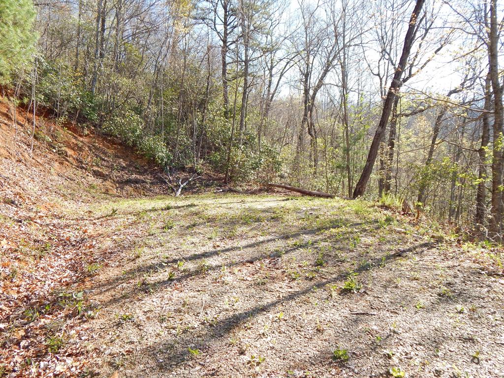 #11-2&12 Tree Top Drive