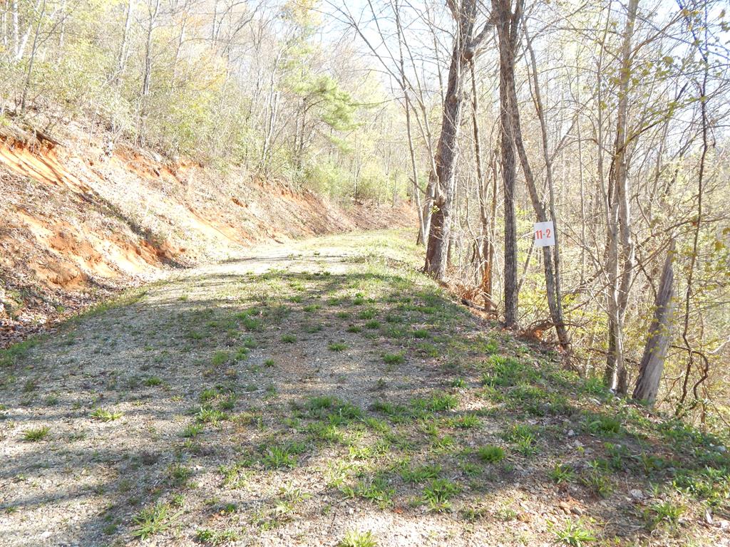 #11-2&12 Tree Top Drive