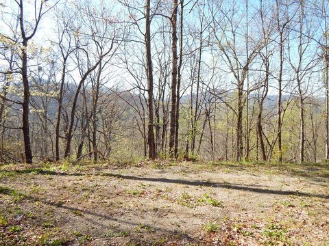 #11-2&12 Tree Top Drive Hayesville NC 28904
