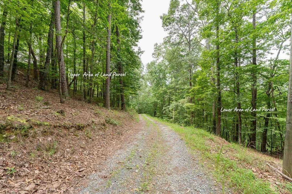0 Deer Lane
