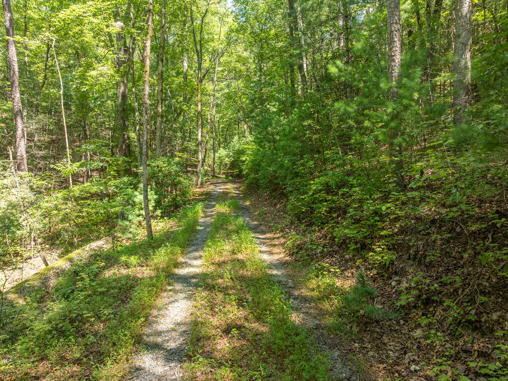 14.97AC Wolf Pen Gap Road