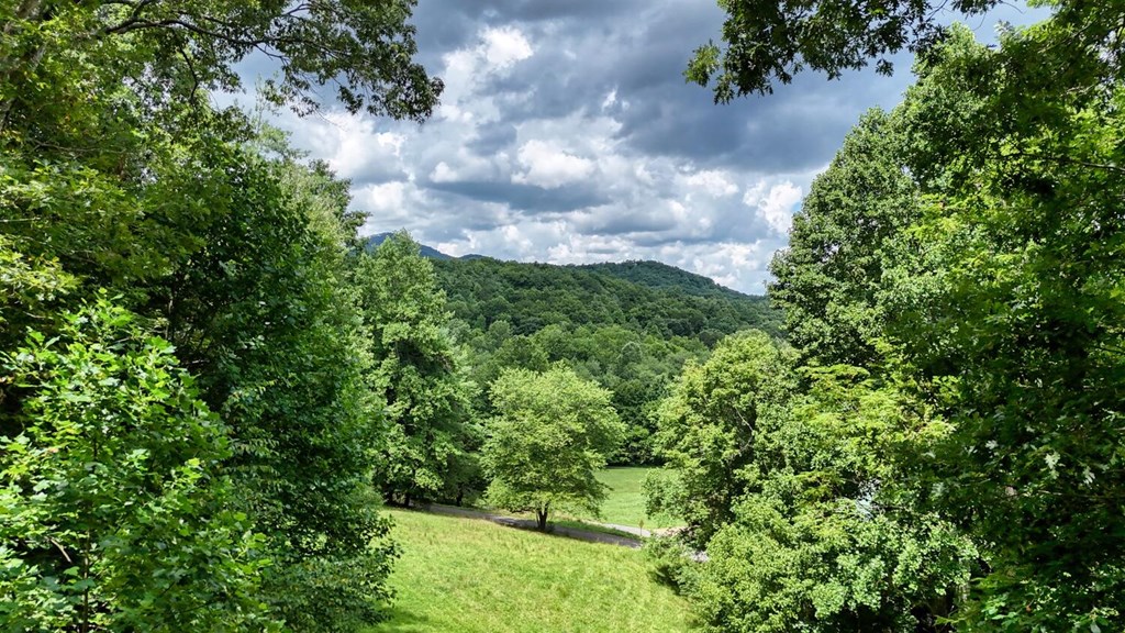 68 Coosa View Lane
