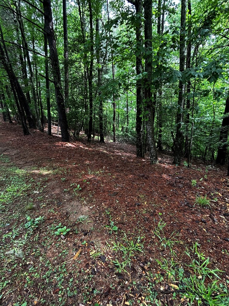 00 Lazy River Lane