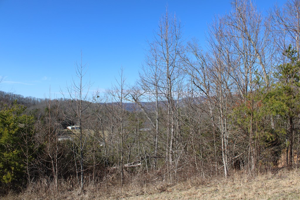 Land on SW Carter Cove Road S
