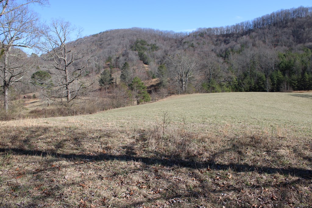 Land on SW Carter Cove Road S