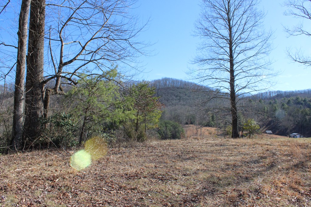 Land on SW Carter Cove Road S
