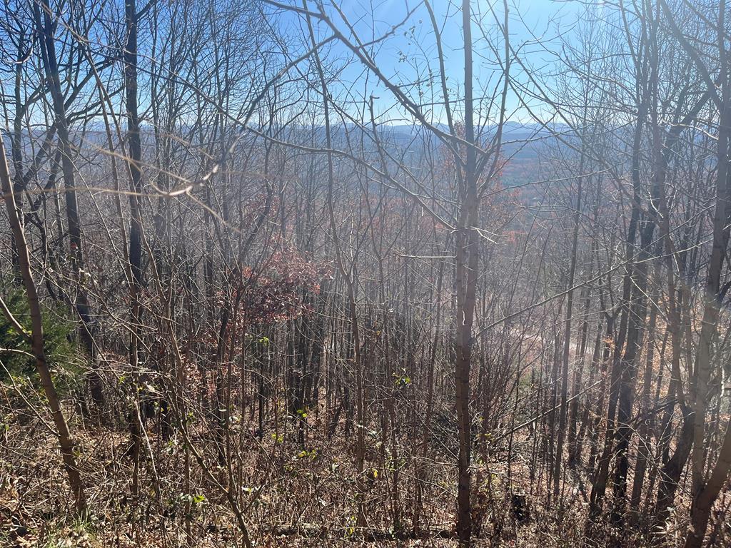 Lot 132 Sanctuary Drive