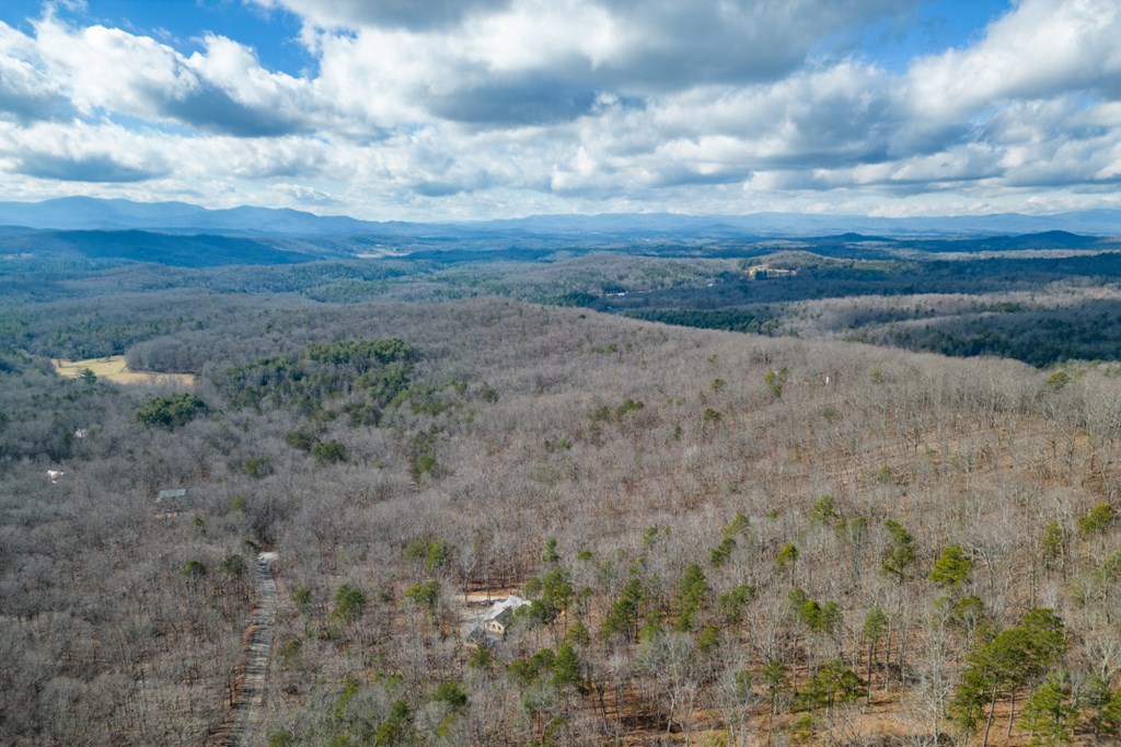 Lot 7 Squirrel Hunting Road