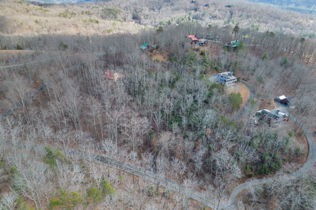 Lot 7 Squirrel Hunting Road