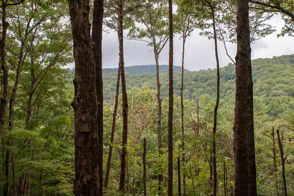Lot 6 Big Creek