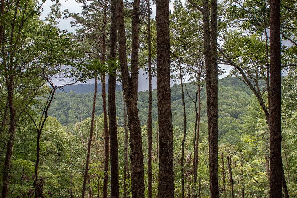Lot 6 Big Creek