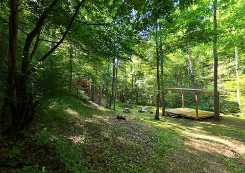 A home in Hiawassee