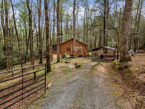 159 Pack Creek Road Blue Ridge GA 30513