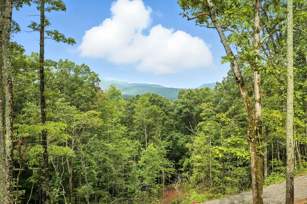 2373 Rainbow Ridge Road