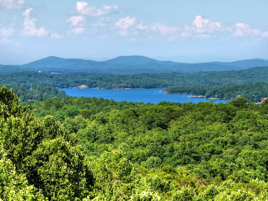 394 Snake Mountain Road