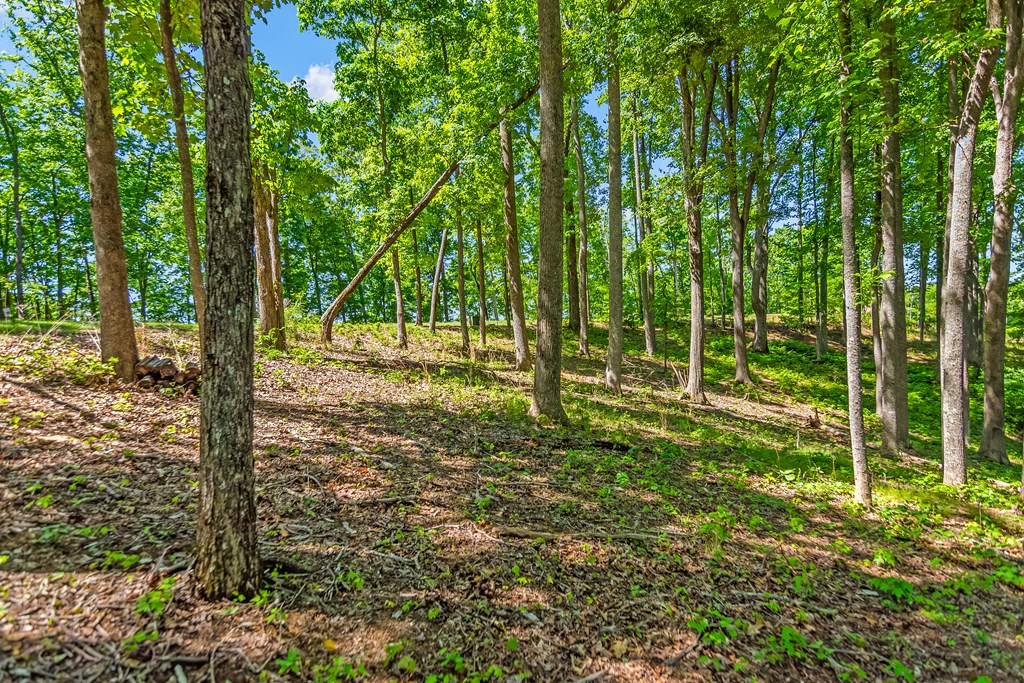 Lot 98 Winding Ridge