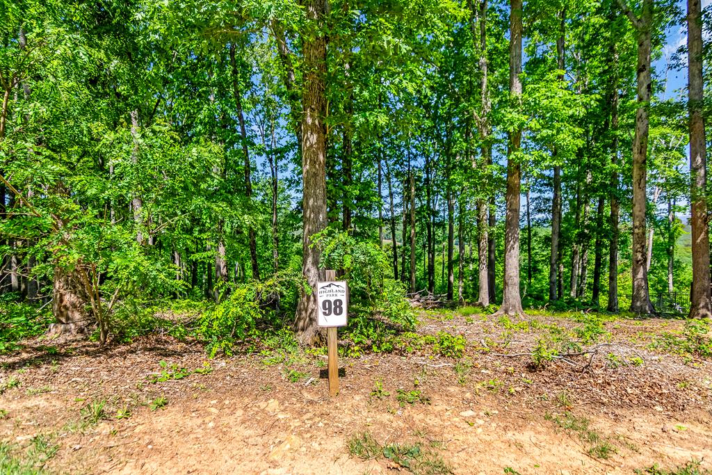 Lot 98 Winding Ridge