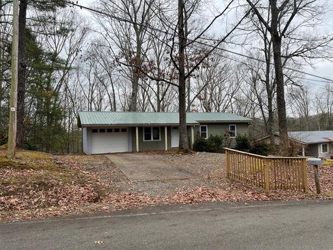 A home in Blue Ridge