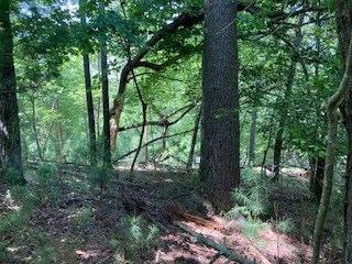 LT 3041 Parnell Drive