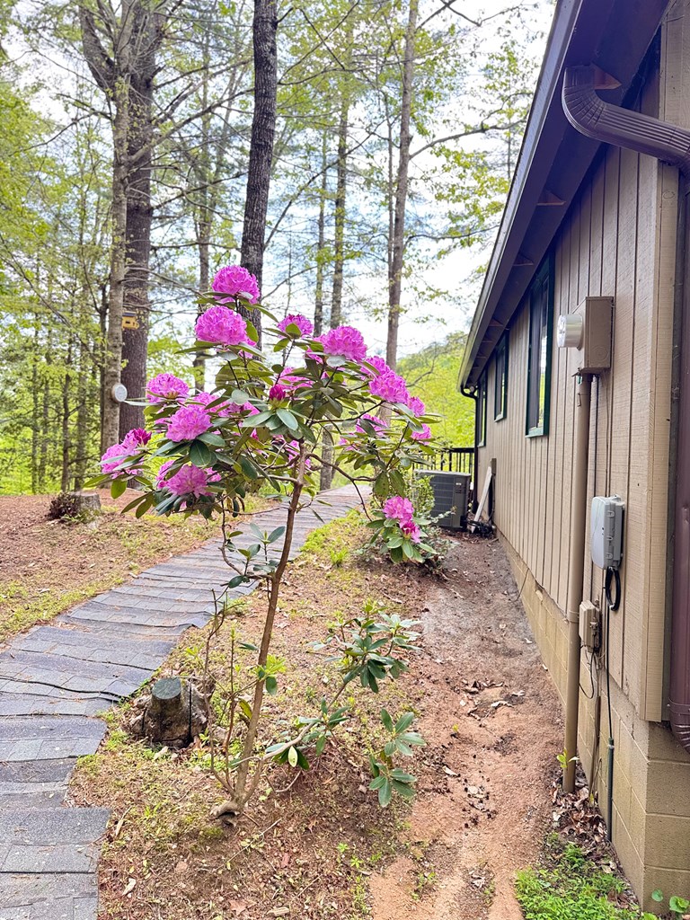 144 Mission Dam Road