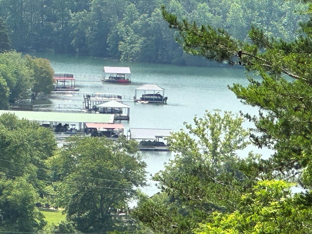 Lot 40 Overlook Trail