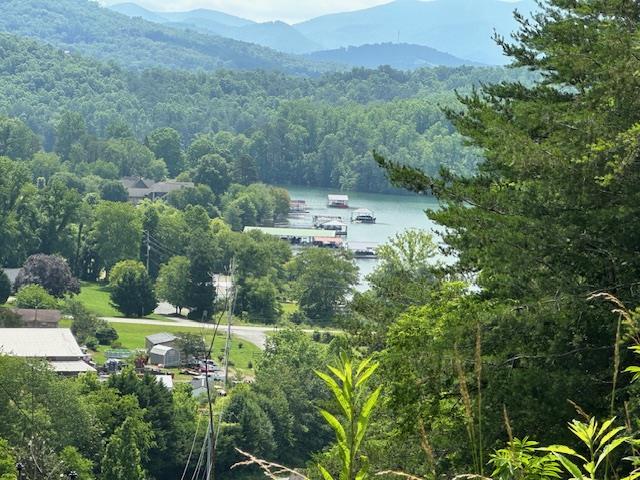 Lot 40 Overlook Trail