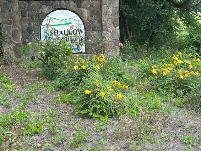 Lot 40 Overlook Trail